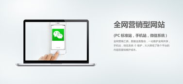 網(wǎng)絡(luò)營(yíng)銷(xiāo)外包與個(gè)人互聯(lián)網(wǎng)服務(wù) 企業(yè)增長(zhǎng)的數(shù)字化雙翼